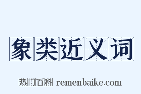 象类近义词是什么意思的图片